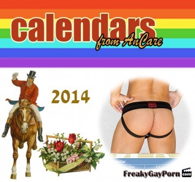  Gay Calendars 2014 