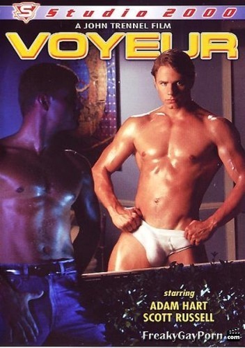352px x 500px - The Voyeur (1993) Â» free full-length gay porn, sex video