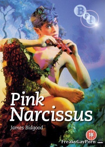  Pink Narcissus (1971) - Bobbie Kendall 