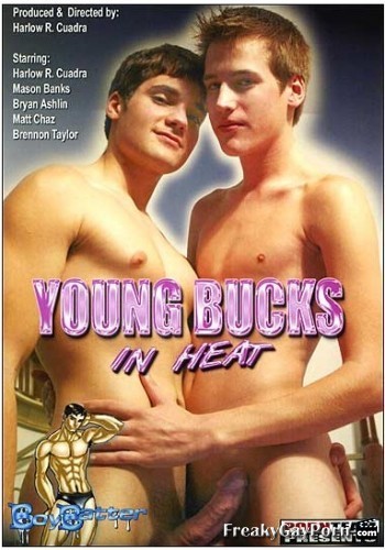  Bareback Young Bucks In Heat - Harlow R. Cuadra, Mason Banks, Bryan Ashlin 